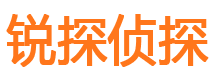 天河市私家侦探